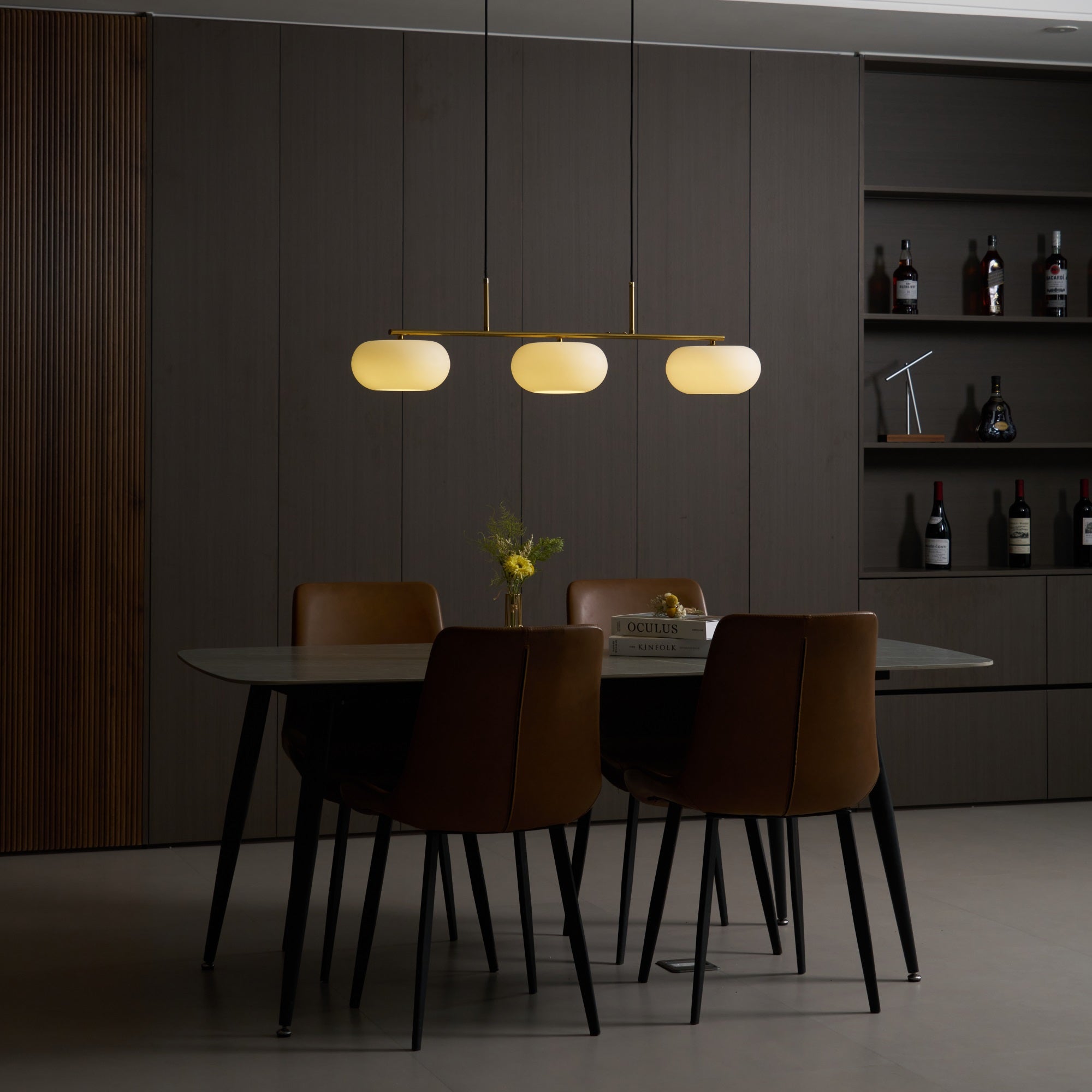 Pendant Light | Ceiling Mounted Design