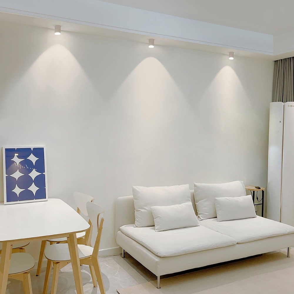 Ceiling Light | Cylinder Surface Fixture