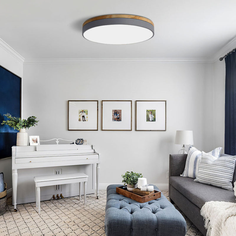 Flush Mount Ceiling Light | Round Disc Design for Modern Interiors