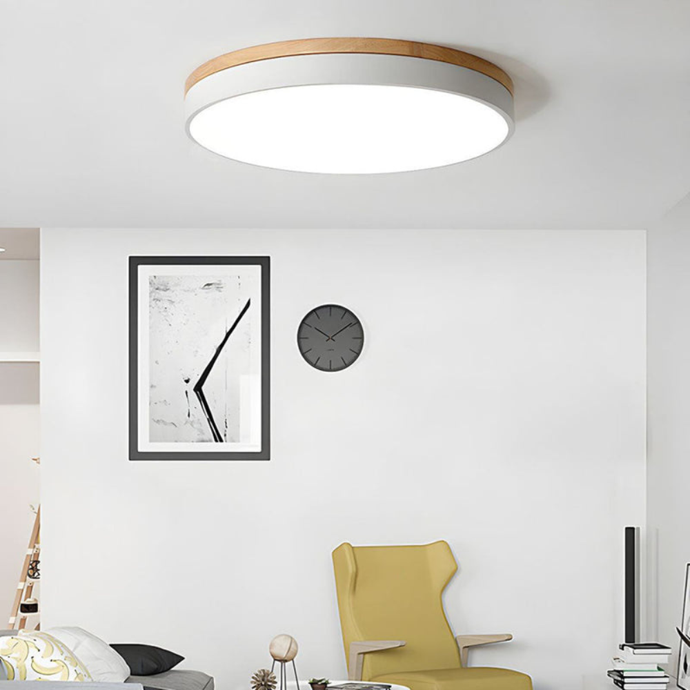 Flush Mount Ceiling Light | Round Disc Design for Modern Interiors