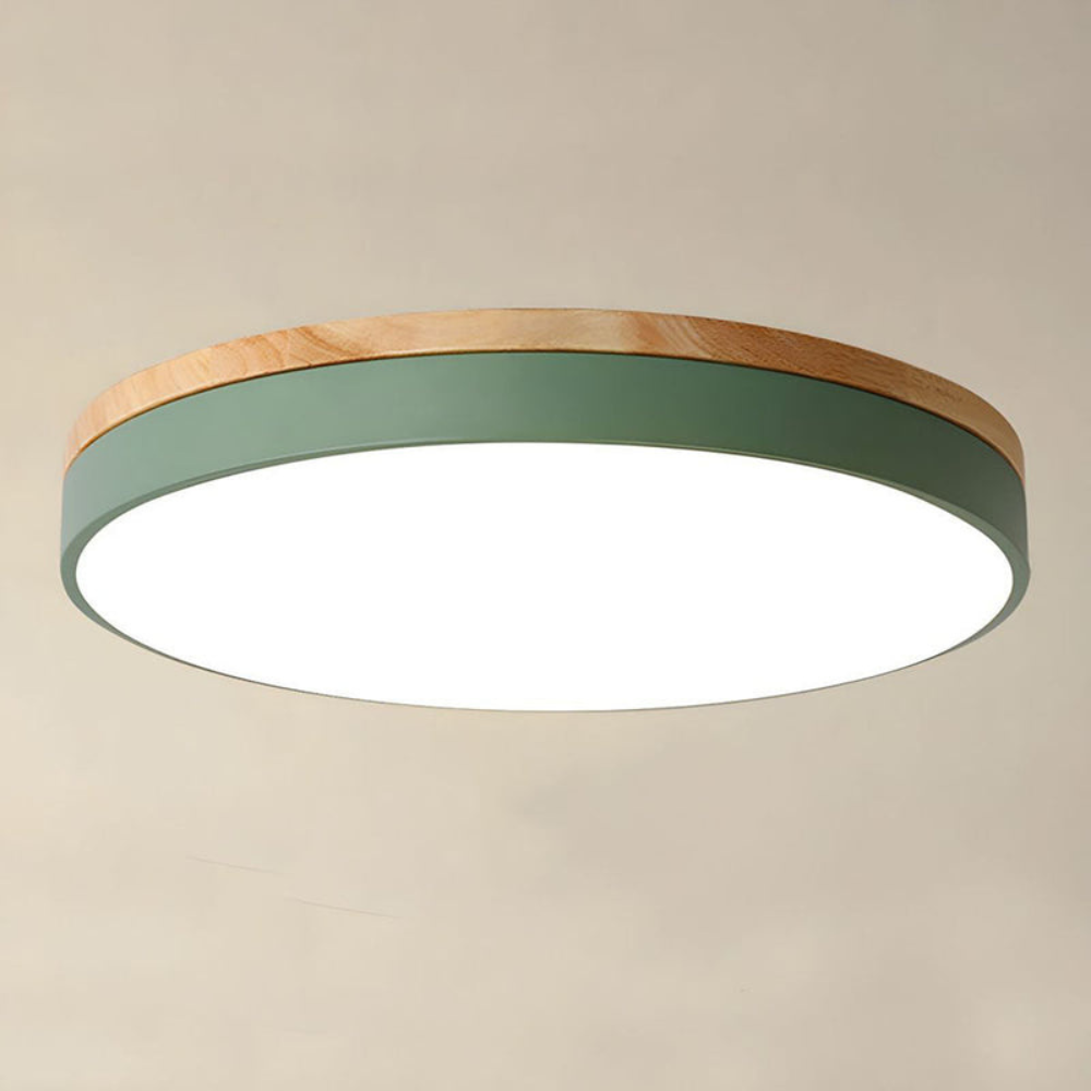 Flush Mount Ceiling Light | Round Disc Design for Modern Interiors