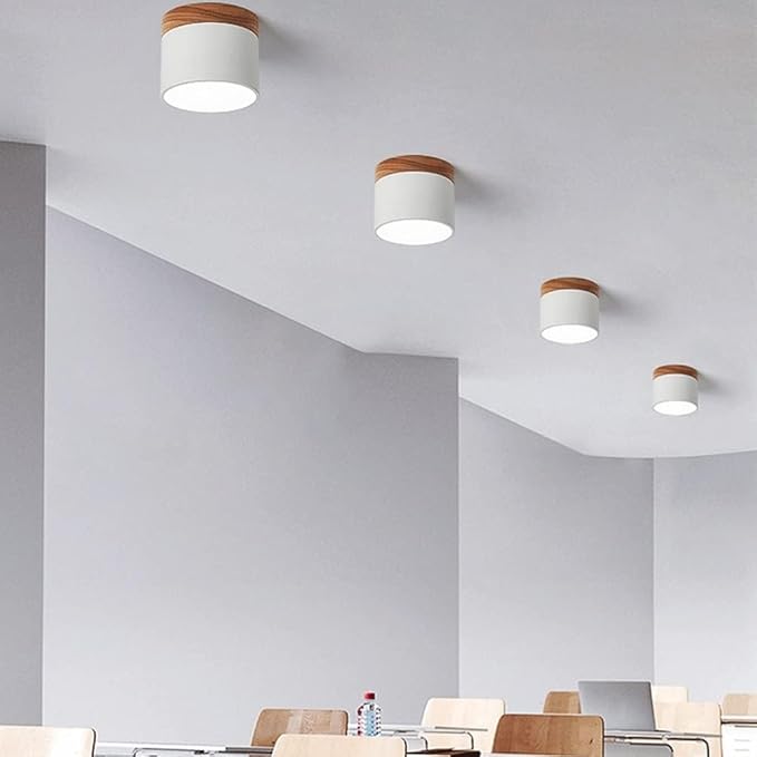 Hallway LED Ceiling Lights | Flush Mount Cylindrical Fixture