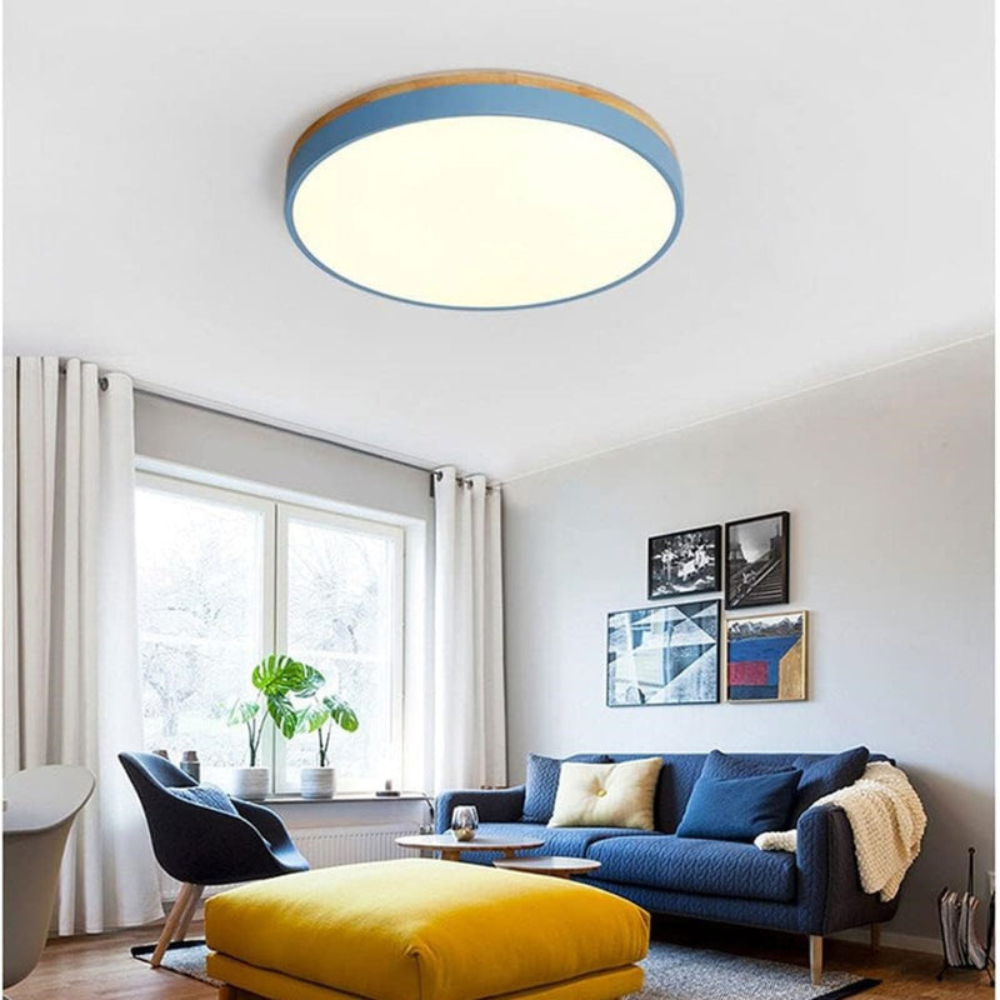 Flush Mount Ceiling Light | Round Disc Design for Modern Interiors