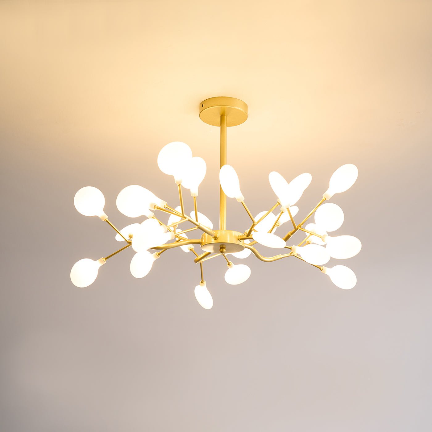 Chandelier Light | 30 to 63 Heads