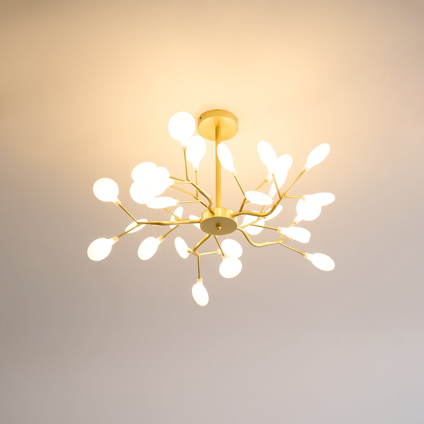 Chandelier Light | 30 to 63 Heads