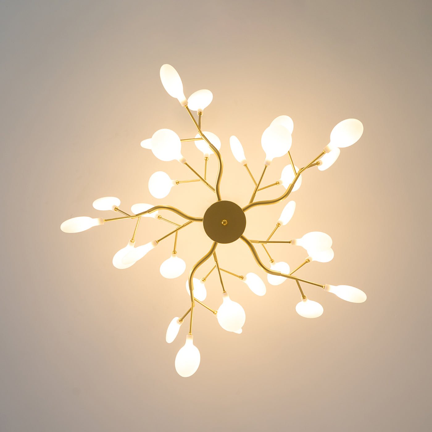 Chandelier Light | 30 to 63 Heads
