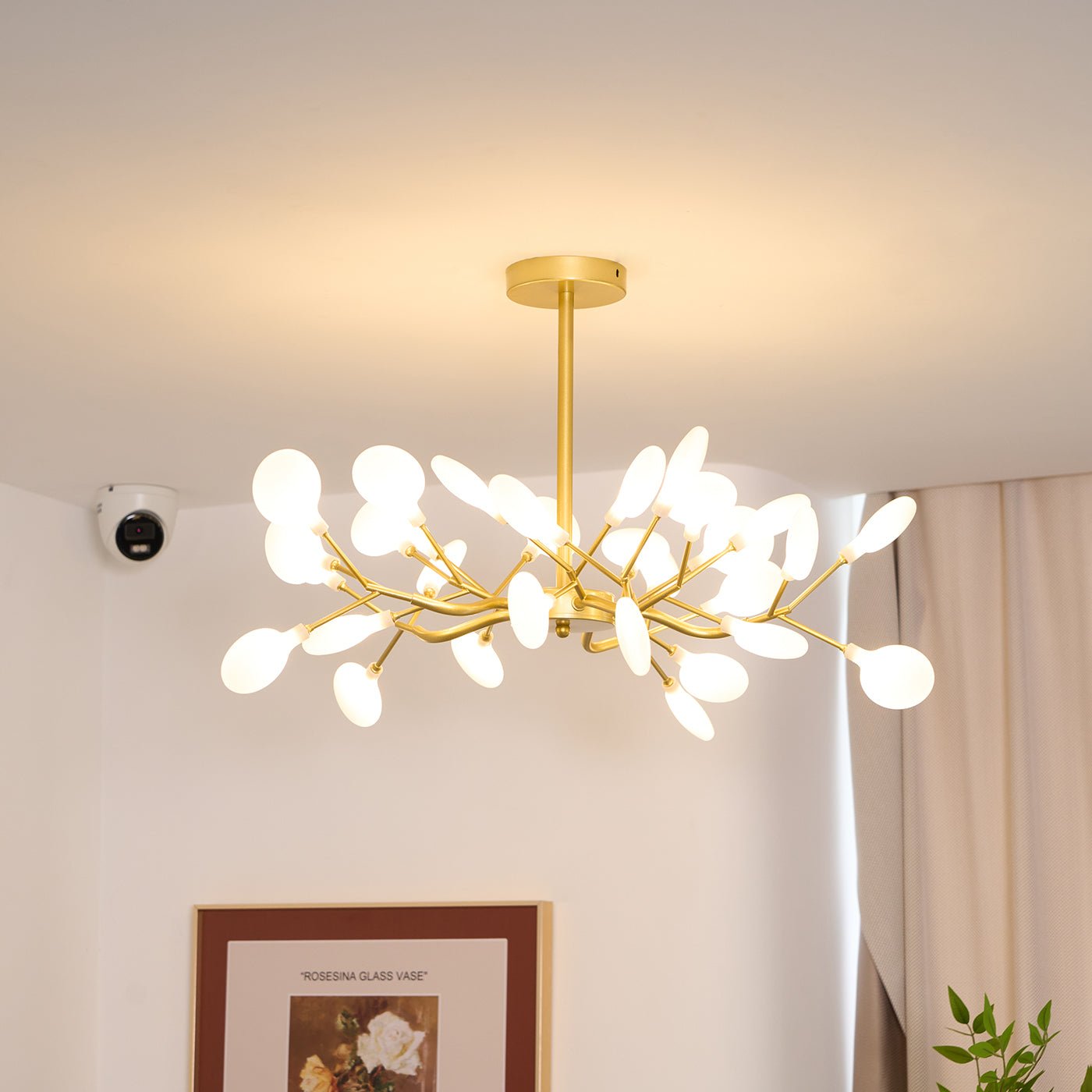 Chandelier Light | 30 to 63 Heads