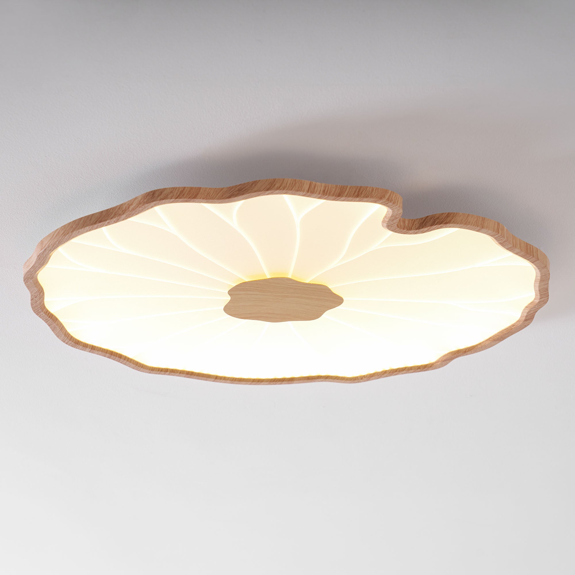 Ceiling Light | Lotus Leaf LED