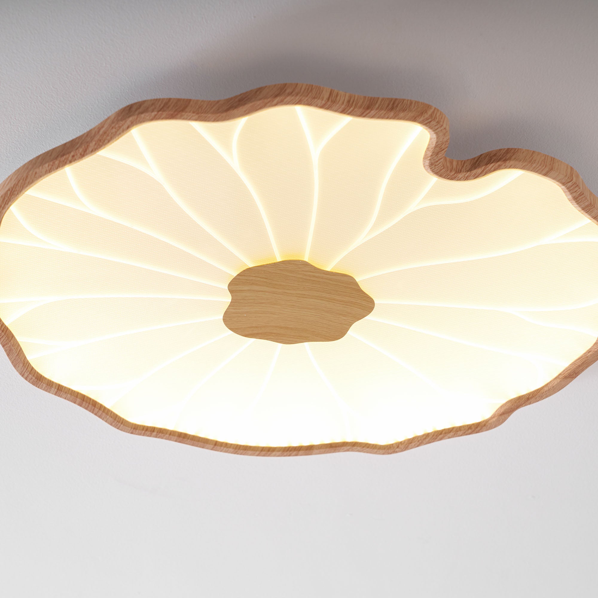 Ceiling Light | Lotus Leaf LED