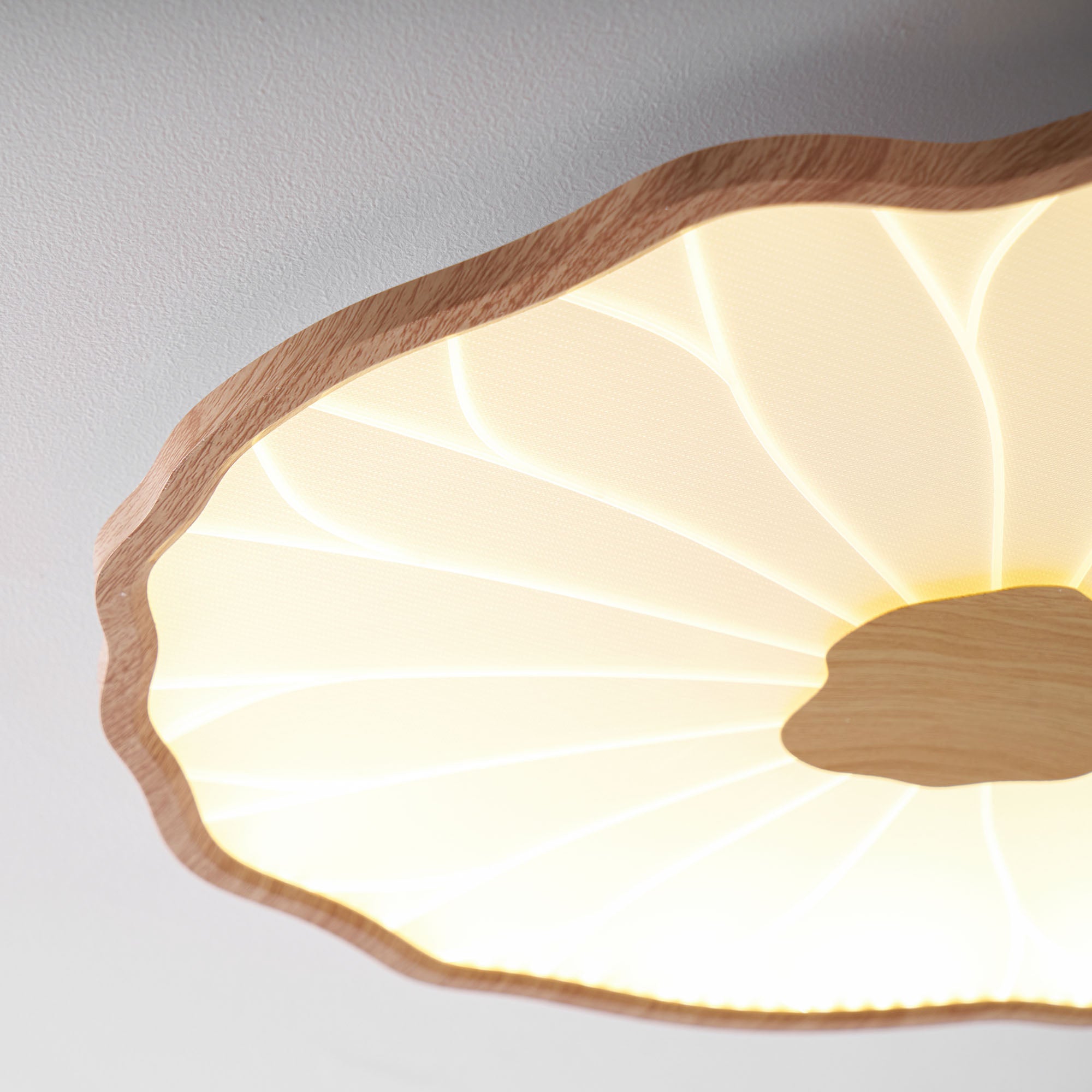 Ceiling Light | Lotus Leaf LED