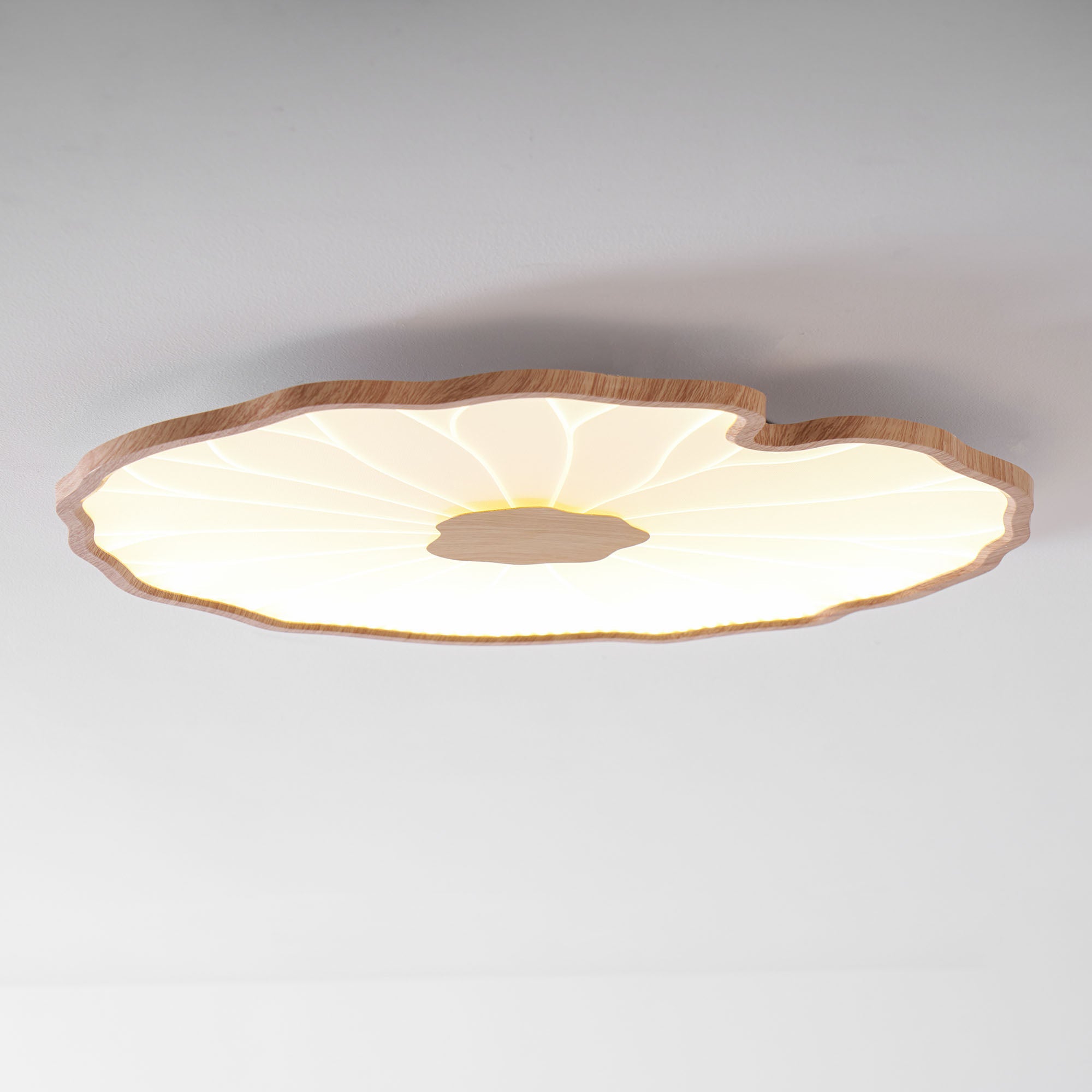 Ceiling Light | Lotus Leaf LED