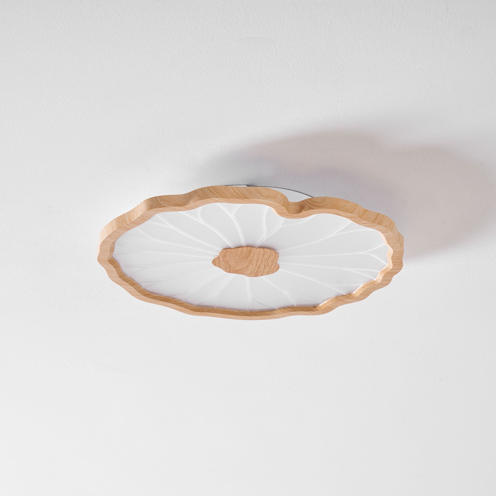 Ceiling Light | Lotus Leaf LED