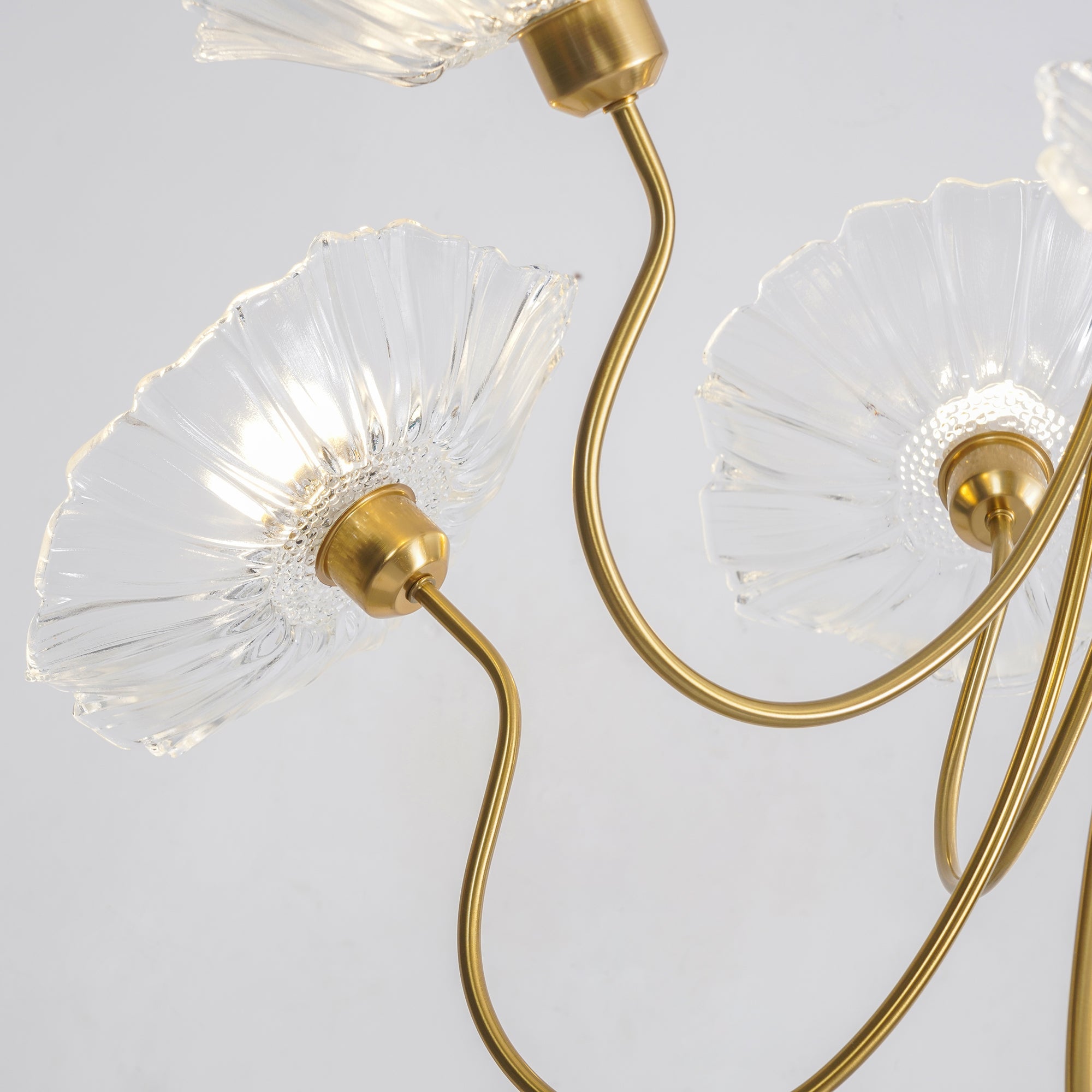 Chandelier Light | Ceiling Lamp with Lutos Flower Design