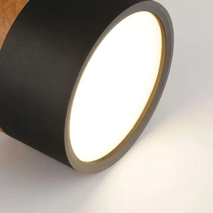 Hallway LED Ceiling Lights | Flush Mount Cylindrical Fixture