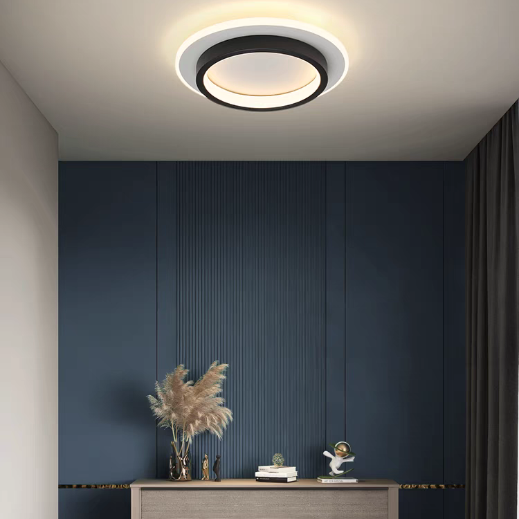 Ceiling Light | Round LED Lighting Fixture