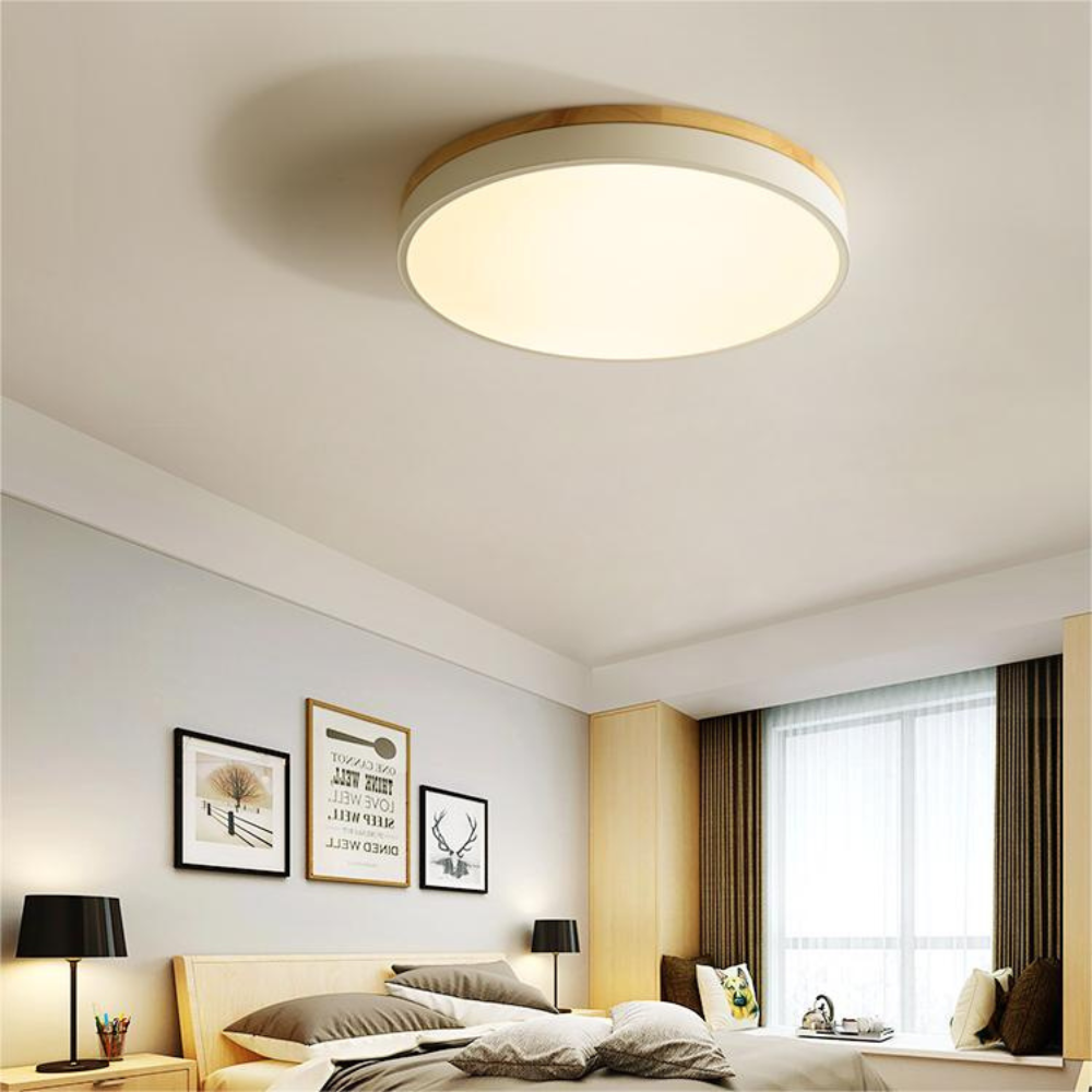 Flush Mount Ceiling Light | Round Disc Design for Modern Interiors