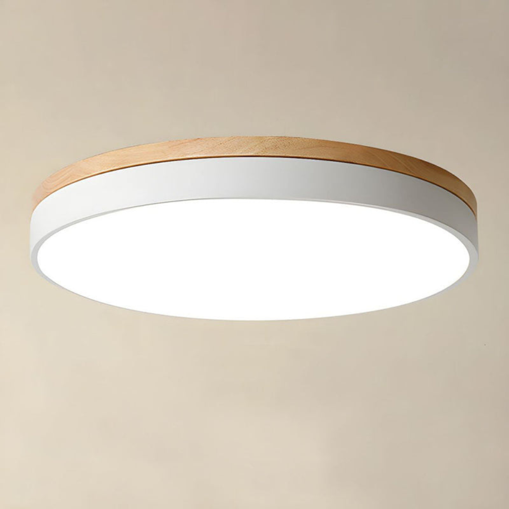 Flush Mount Ceiling Light | Round Disc Design for Modern Interiors