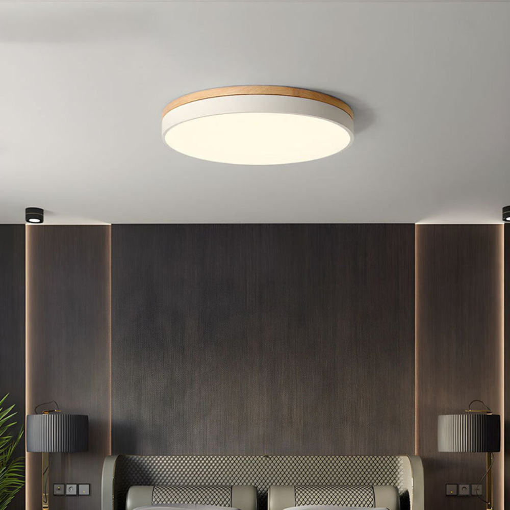 Flush Mount Ceiling Light | Round Disc Design for Modern Interiors