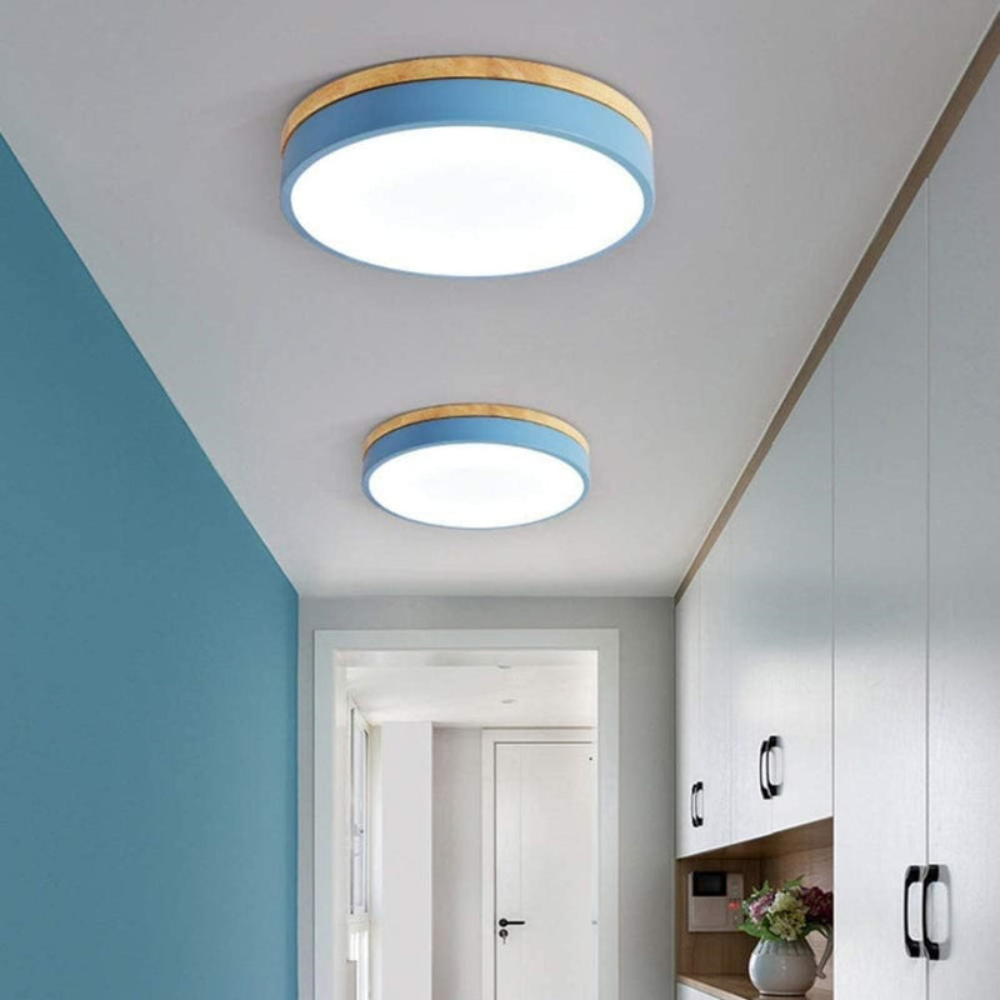 Flush Mount Ceiling Light | Round Disc Design for Modern Interiors