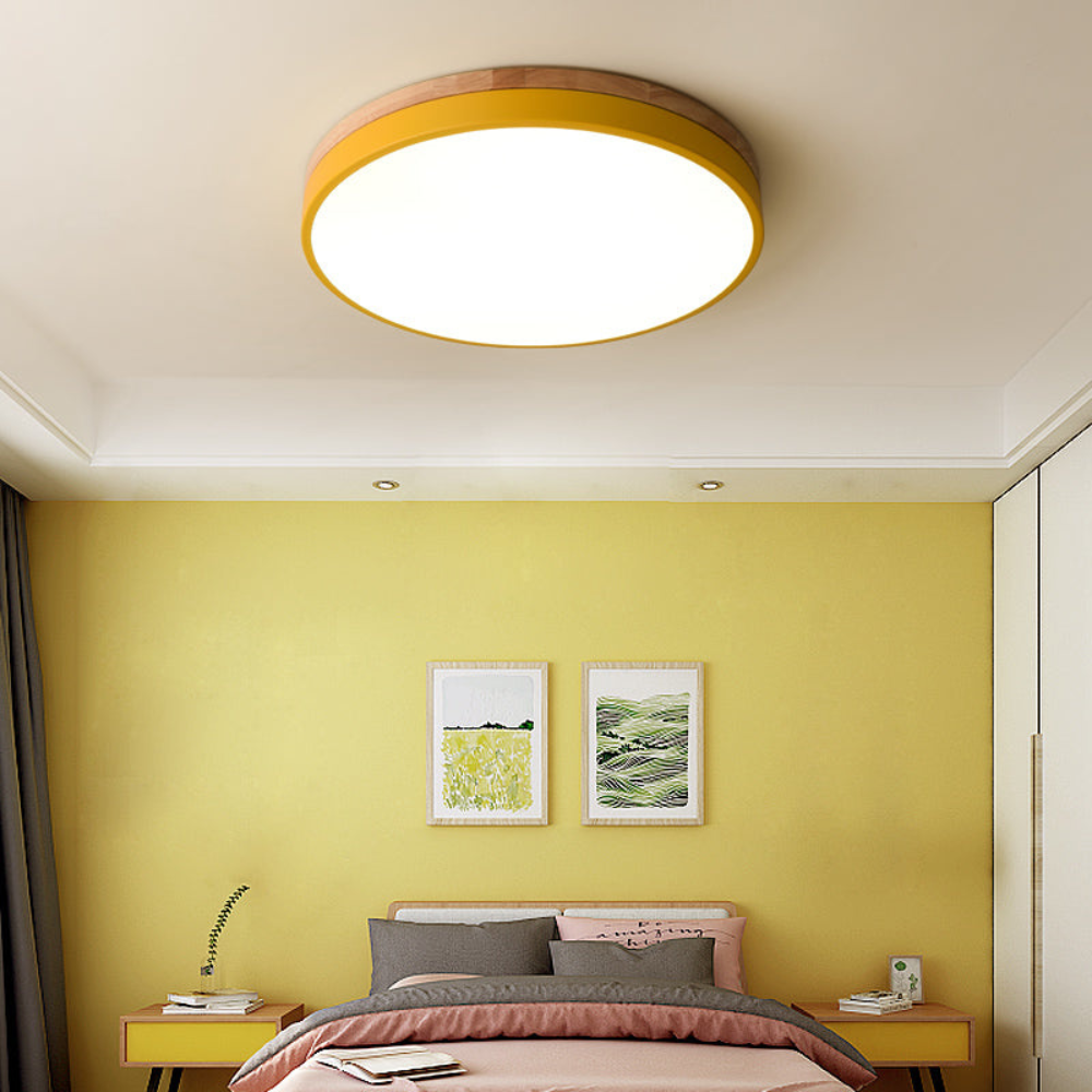 Flush Mount Ceiling Light | Round Disc Design for Modern Interiors
