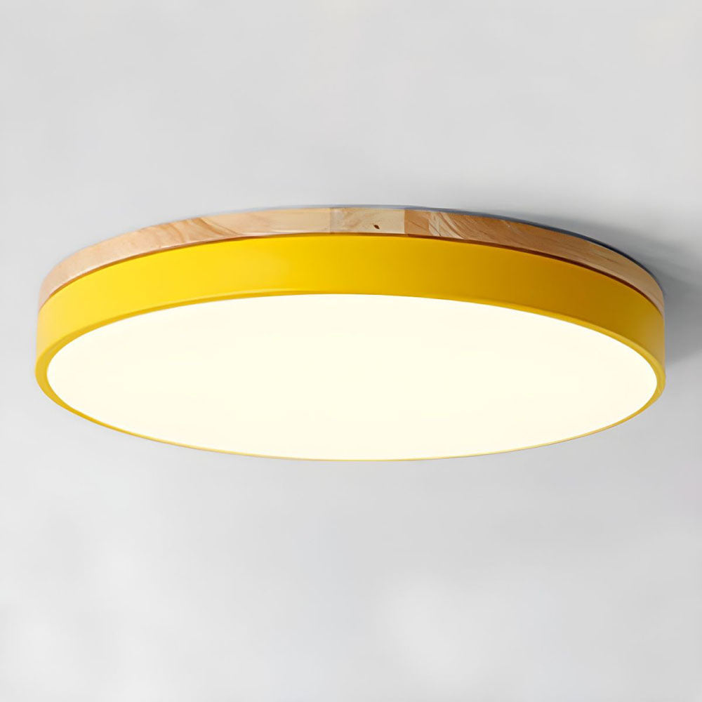 Flush Mount Ceiling Light | Round Disc Design for Modern Interiors