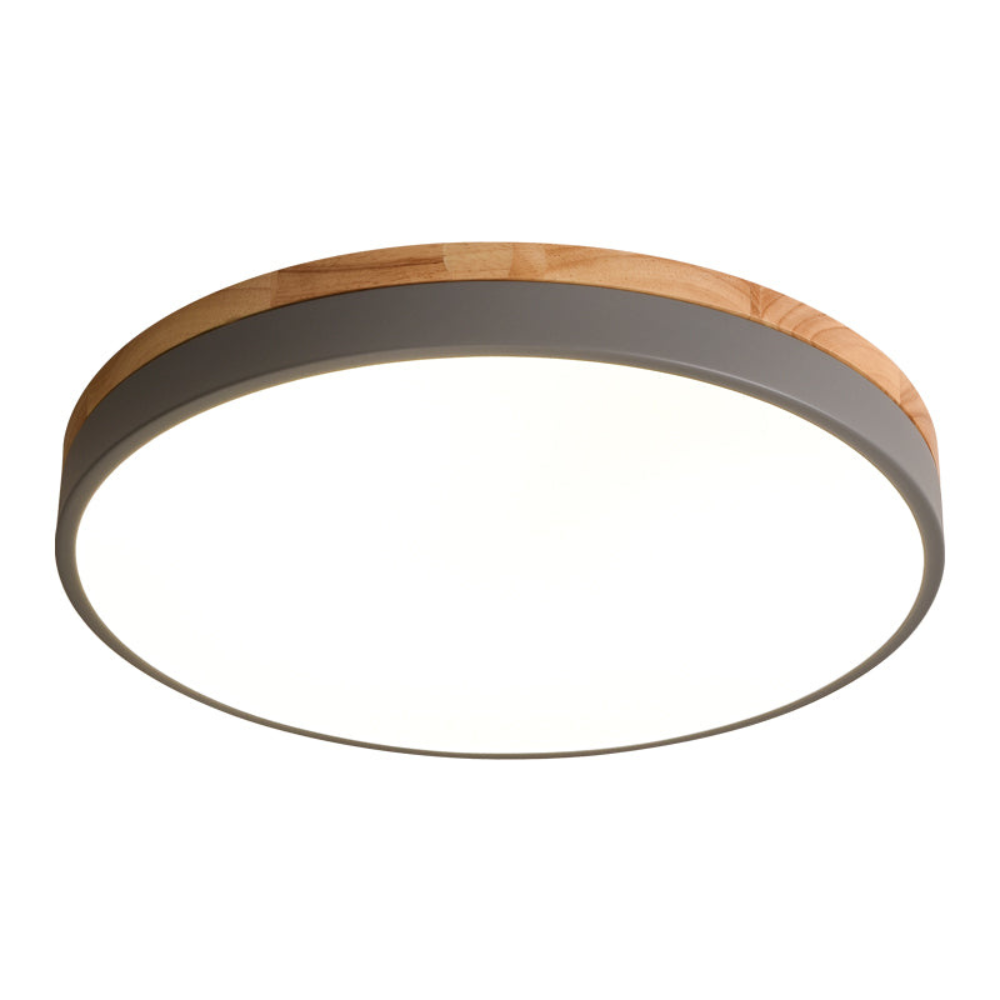 Flush Mount Ceiling Light | Round Disc Design for Modern Interiors
