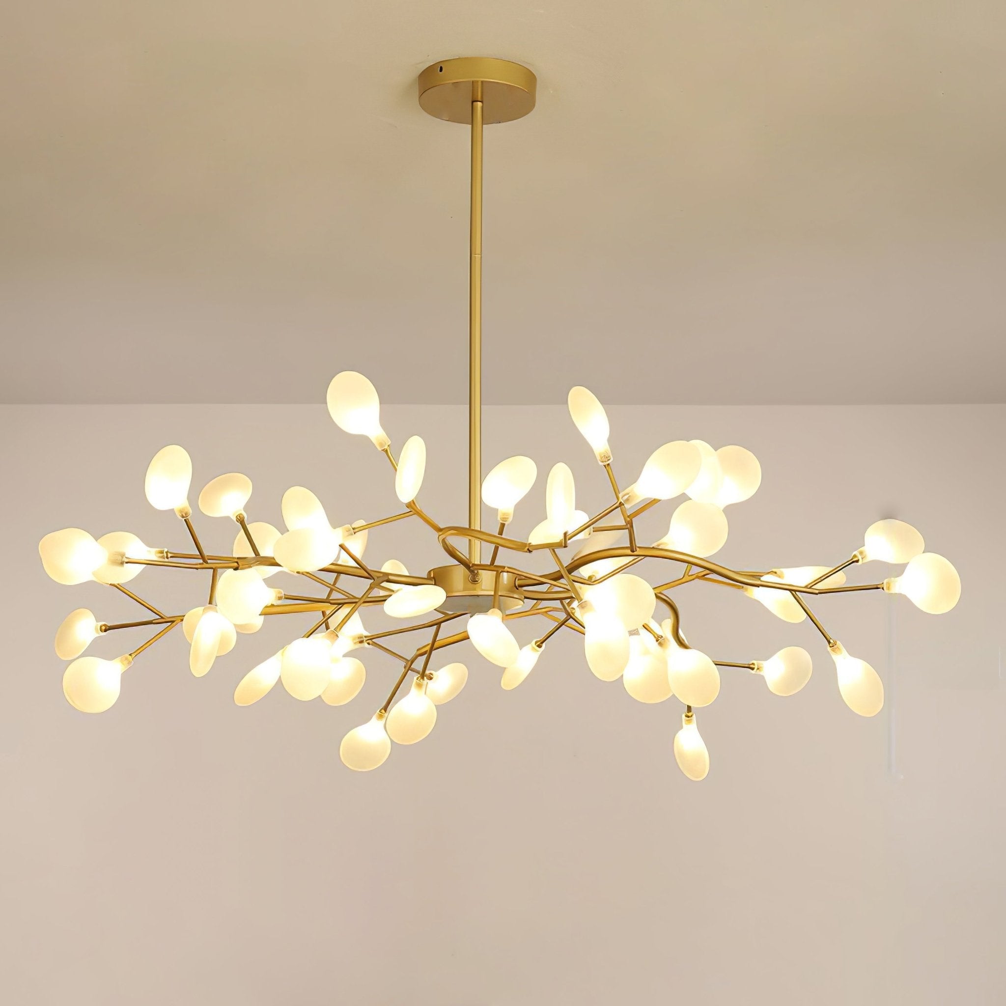 Chandelier Light |  30 to 63 Heads