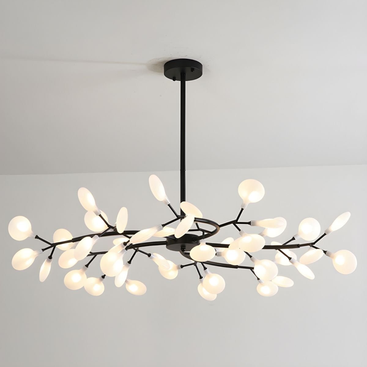 Chandelier Light |  30 to 63 Heads