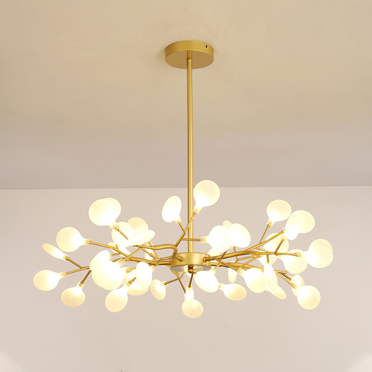 Chandelier Light |  30 to 63 Heads