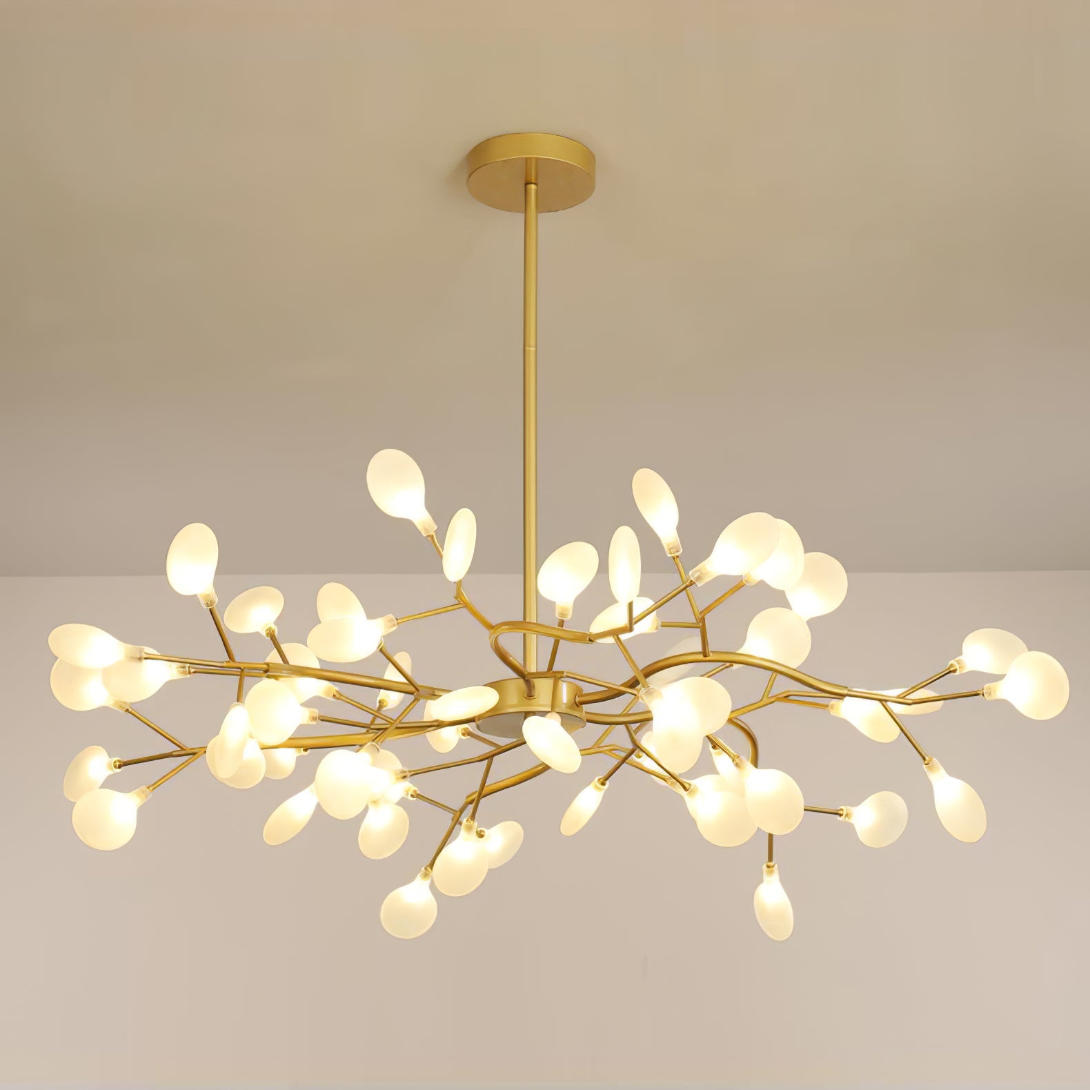 Chandelier Light |  30 to 63 Heads