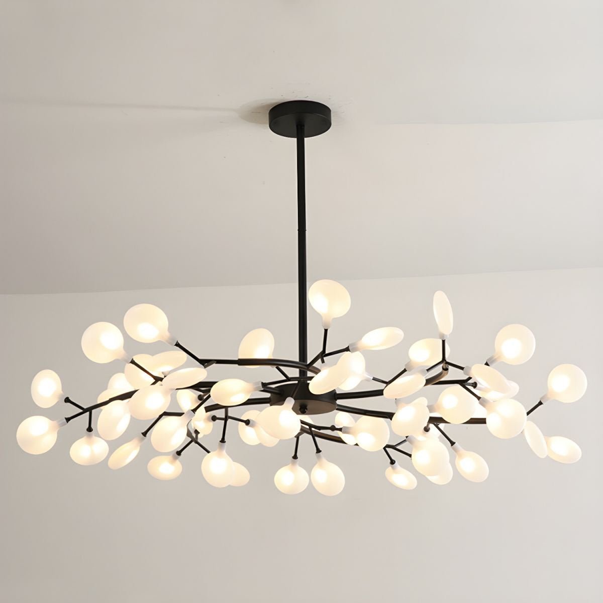 Chandelier Light |  30 to 63 Heads