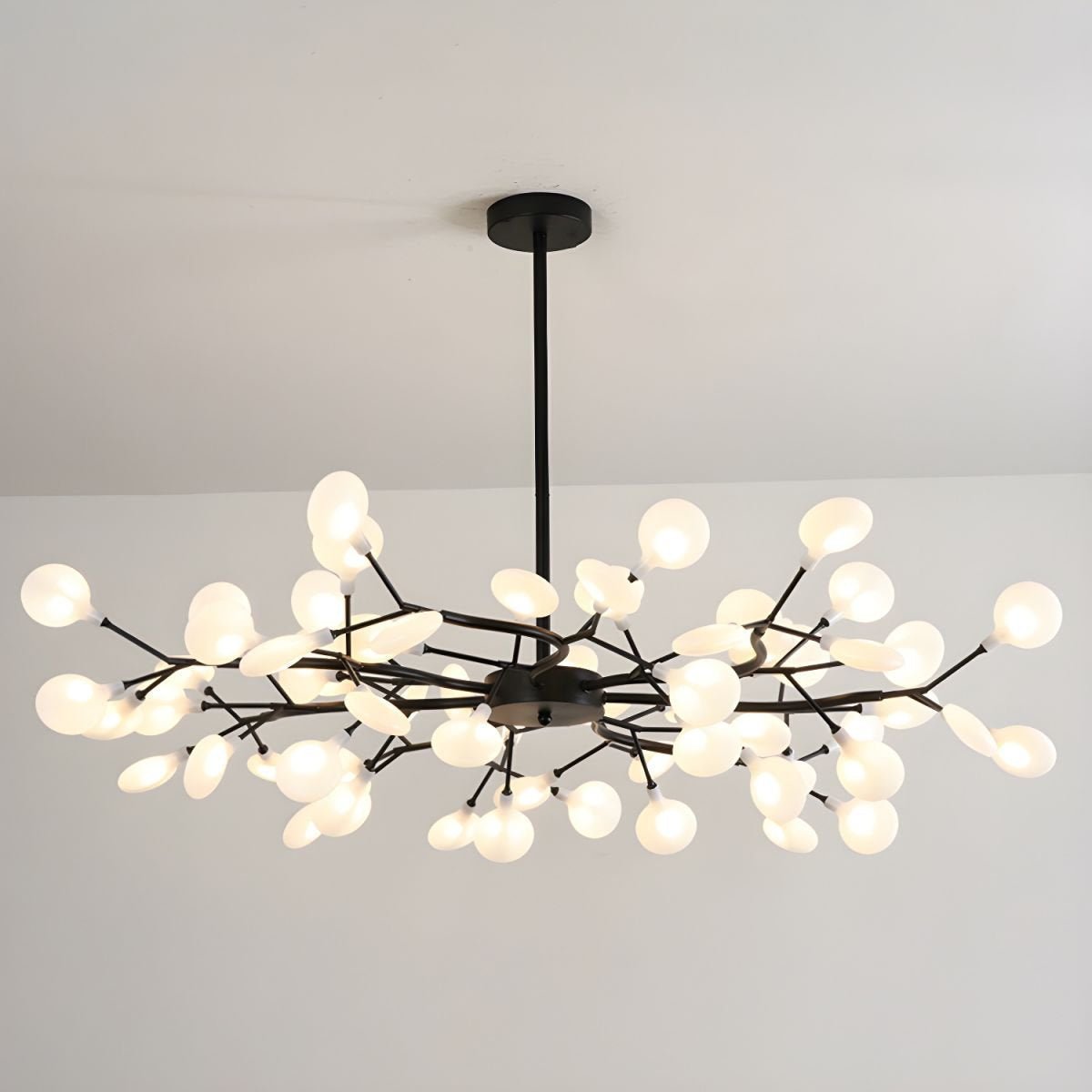 Chandelier Light |  30 to 63 Heads