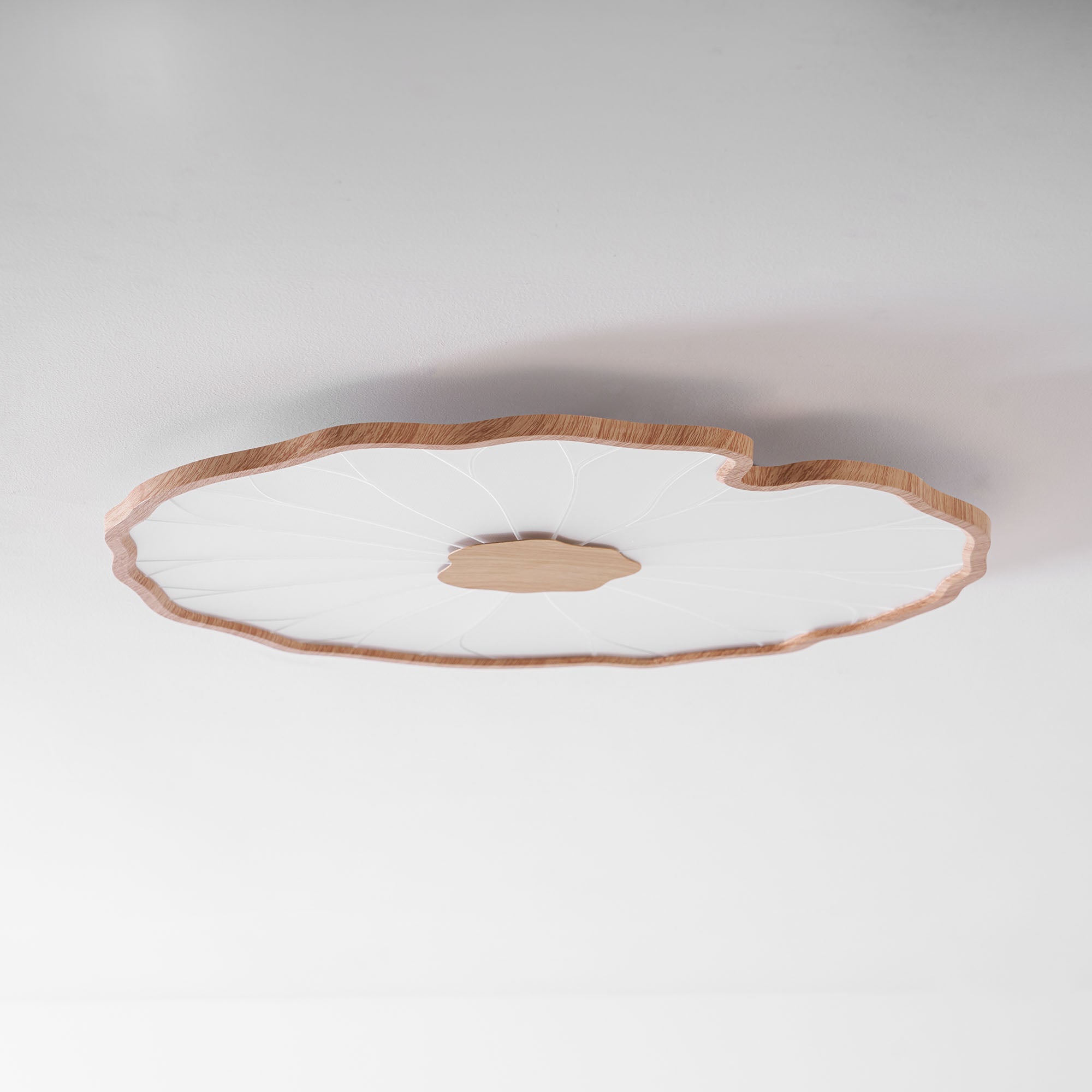 Ceiling Light | Lotus Leaf LED