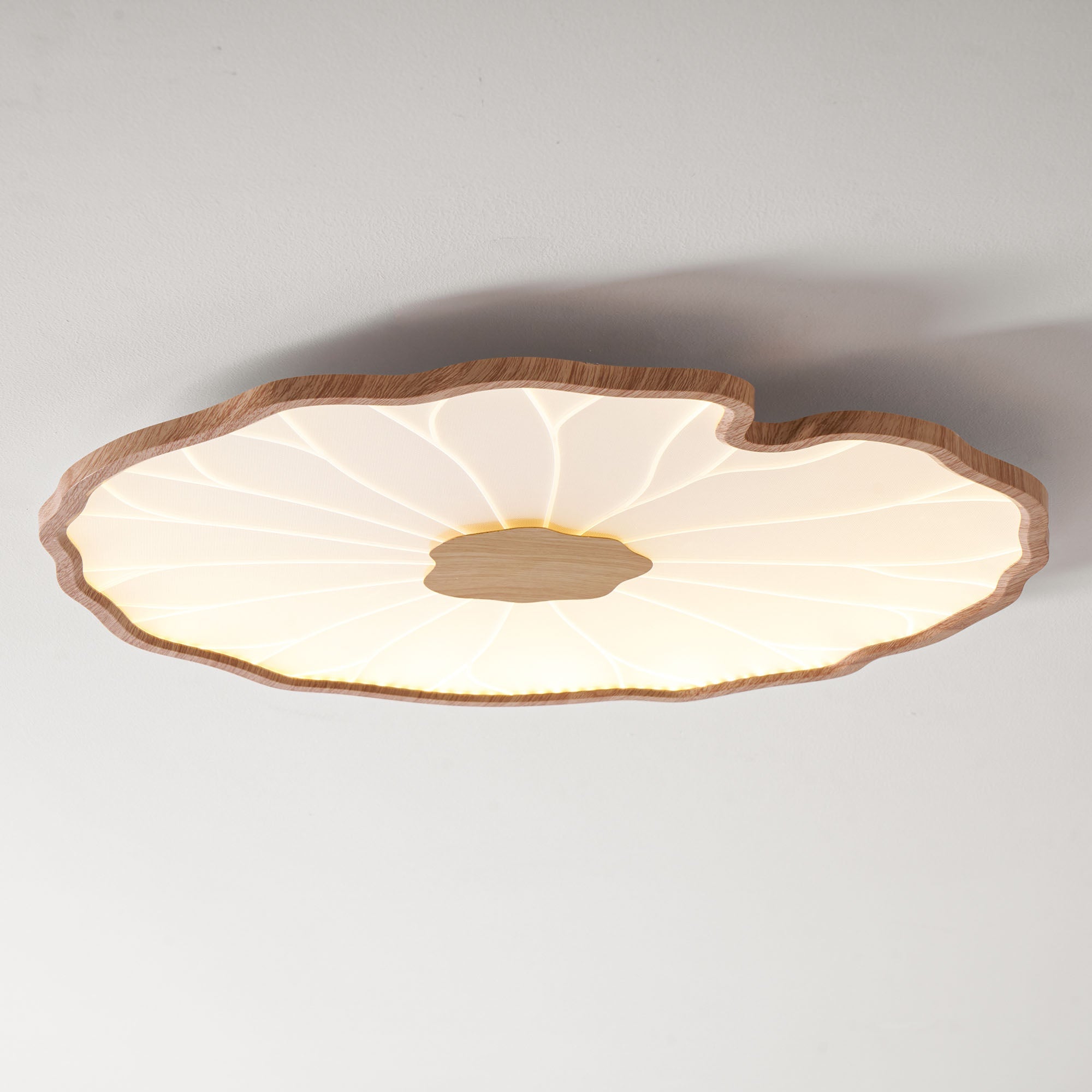 Ceiling Light | Lotus Leaf LED