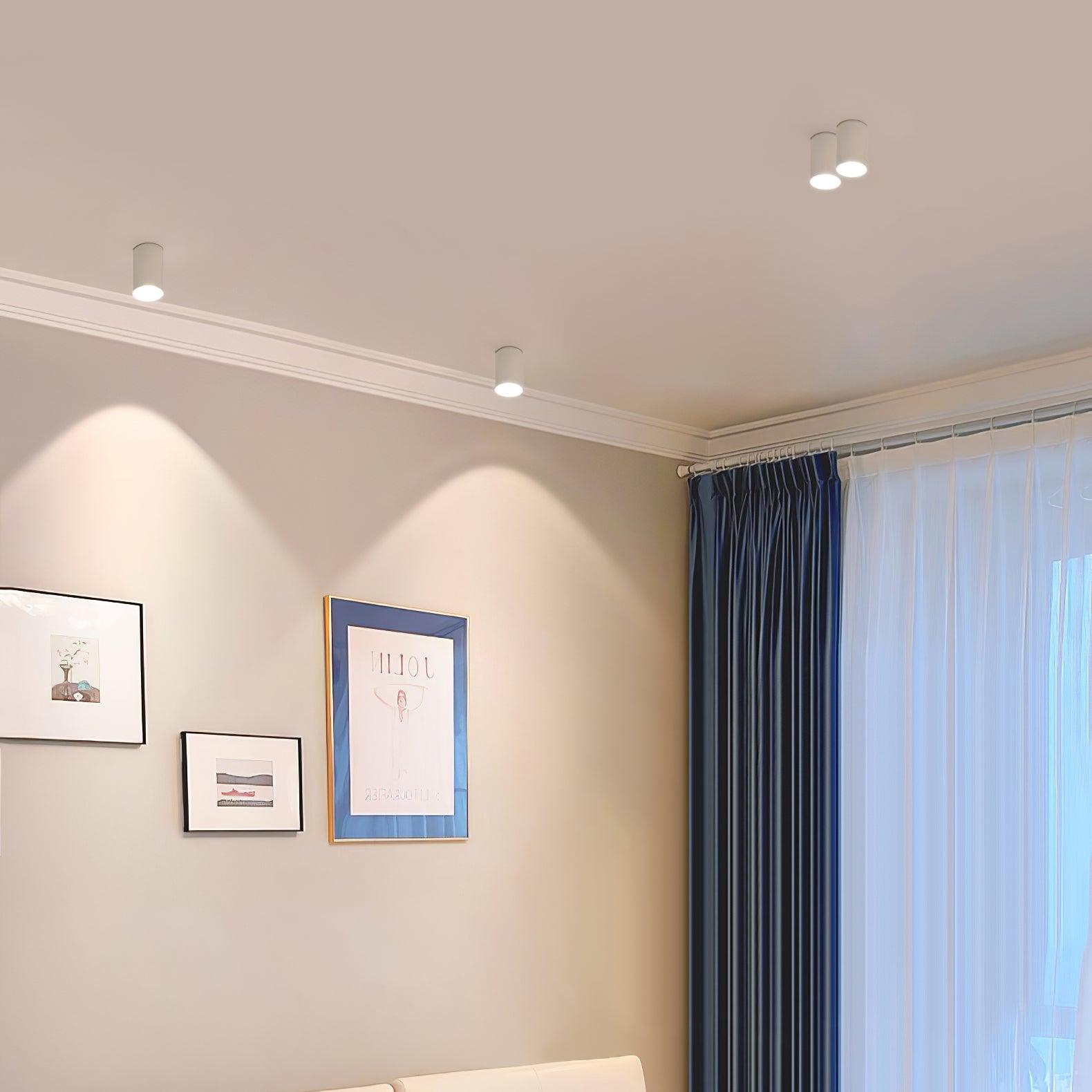 Ceiling Light | Cylinder Surface Fixture