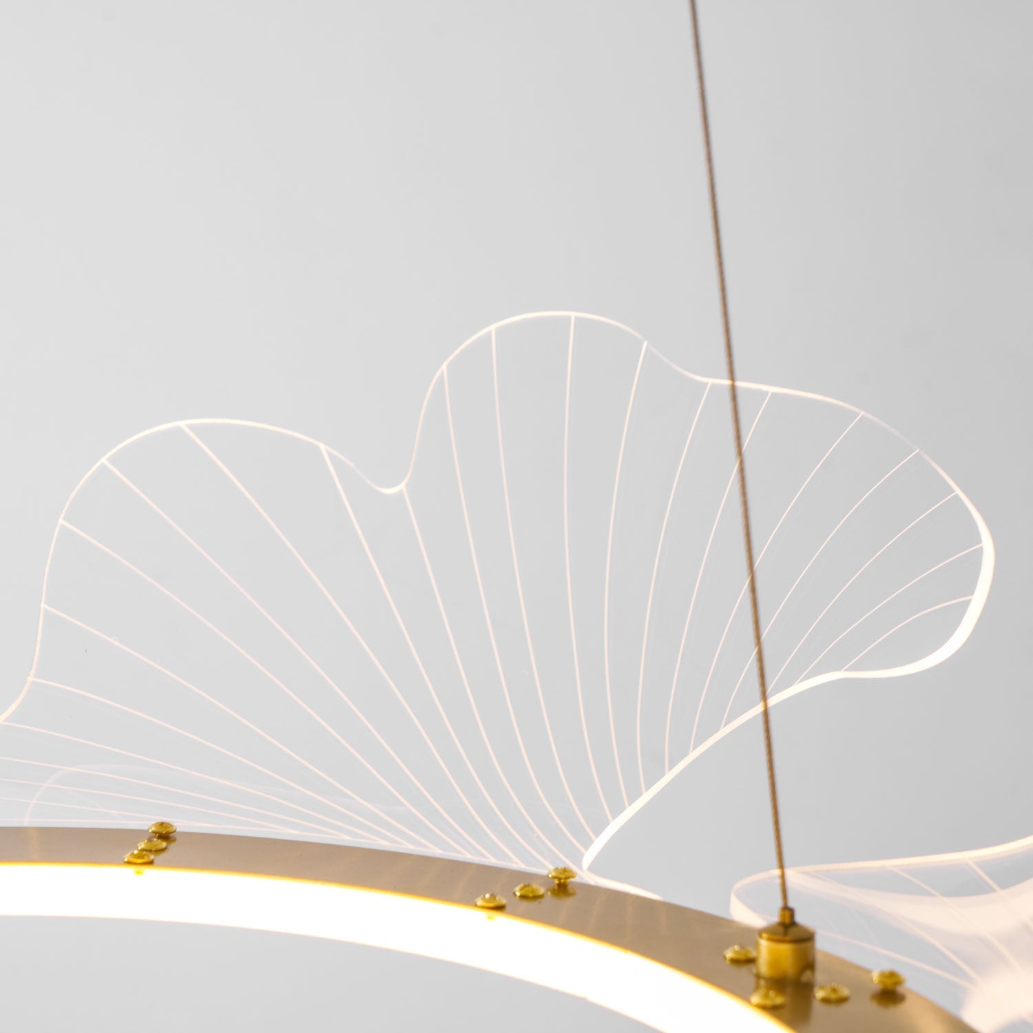 Living Room Modern Chandelier | Petal-Shaped LED Ceiling Light